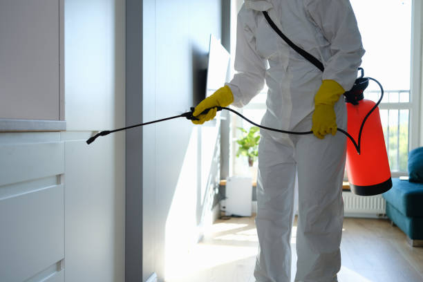 Best Mold Odor Removal Services  in Dwight, IL